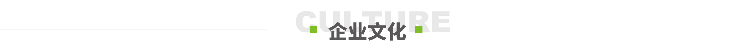 企业文化