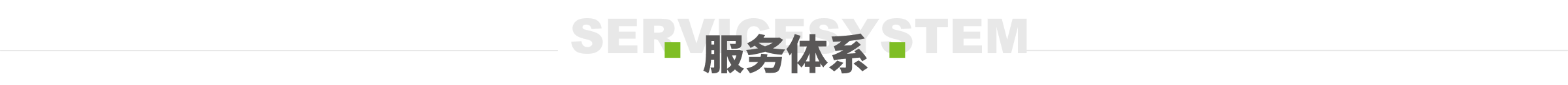 服务体系